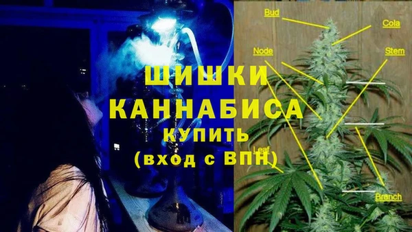 прущая мука Алзамай
